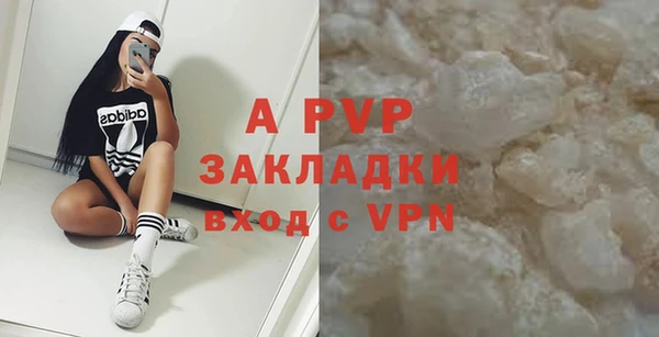 индика Михайлов