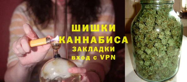 индика Михайлов