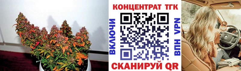 продажа наркотиков  MEGA зеркало  ТГК THC oil  Новокубанск 