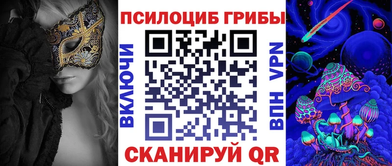 кракен ССЫЛКА  Новокубанск  Псилоцибиновые грибы Psilocybe 